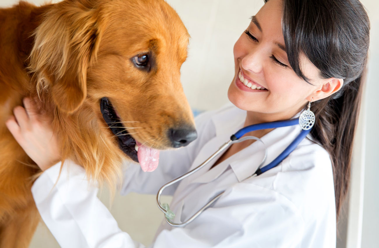 Vet1